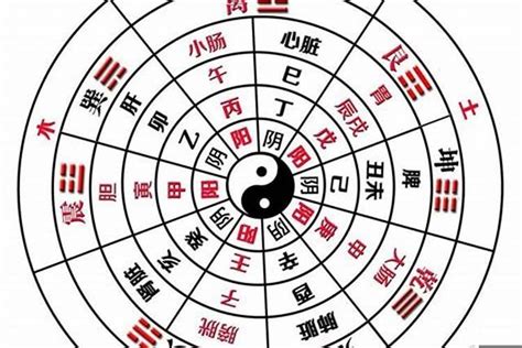 全陰命格|全陰八字：命運多舛還是福星